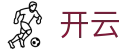 开云GROUP全球赛事数据与智能体育平台
